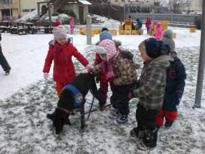 Ramses im Schnee (40)  